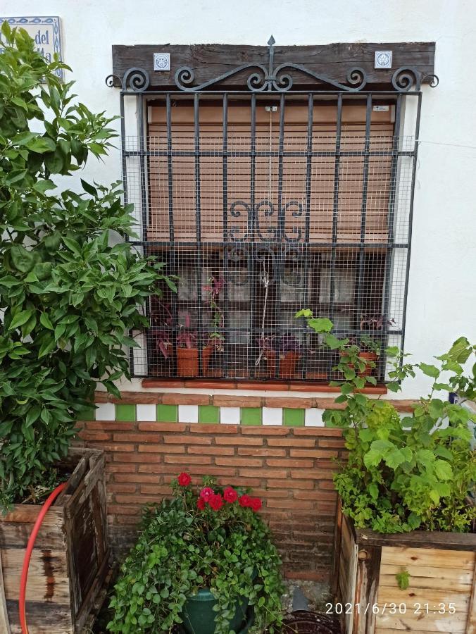 La Casita De Paco Albaicin Apartment กรานาดา ภายนอก รูปภาพ